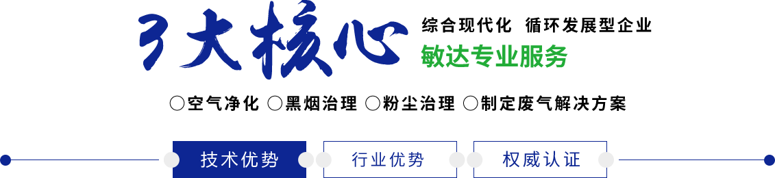 鸡巴好大,操死我吧视频敏达环保科技（嘉兴）有限公司